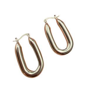 Aretes Ovalados Plateados